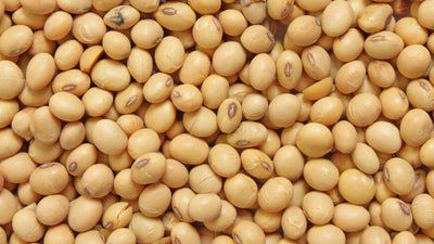 Nattokinase